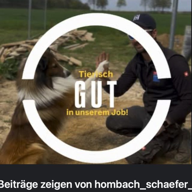 Tierisch gut in unserem Job